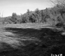 Crop Field