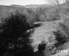 Wooded Slopes and Mountains