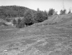 Field on Hill