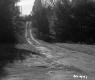 Forest Road