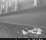 Bridge Close-Up