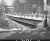 Bridge and Trees