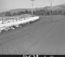 Fence by Dirt Road