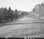 Dirt Road and Trees