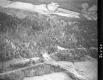 Aerial of Forest