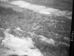 Aerial of Forest