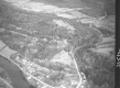 Aerial of Forest