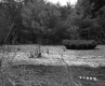 Field by Stream