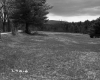 Field by Road