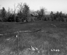 Field with Wood Pole
