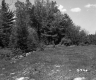 Field with Rocks