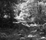 Rural Road
