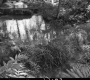Goshen Brook
