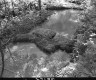 Hay Dams on Goshen Brook