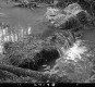Waterfall in Goshen Brook