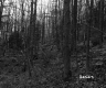 Hilly Forest Landscape in St. Johnsbury 5