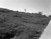 Southerly View of Slope along road in Addison