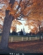 Completed Road Construction in Brookfield, Town Green with Church Building 2