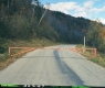 Waterbury State Forest Highway, Looking Northerly at Closed Gate
