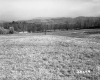 Hilly Pasture with Mountain Ridges in Lyndon