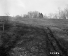 Hilly Pasture in Lyndon