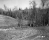 Downward Slope View of Pastureland in Lyndon