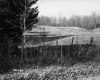 View of Pasture in Lyndon from Fence