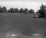 Field with Poles