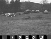 Withington Property, Junk Cars and Trash Pile