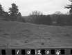 Withington Property, Rolling Hills