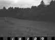 Carpenter Property, Field and Forest