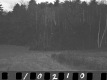 Carpenter Property, View toward Forest
