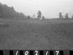 Wood Property, Open Field
