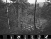 Wyman Property, Forest View