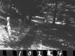 Wyman Property, Forest View