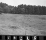 Wyman Property, Field and Forest