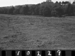 Wyman Property, Field and Forest