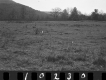 Wyman Property, Field and Forested Hills