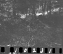 Wyman Property, Forest View