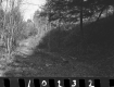Wyman Property, Forest View