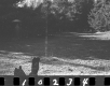 Wyman Property, Field and Forest