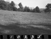 Wyman Property, Field and Forest