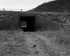Underpass on I-89