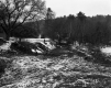 Courtemanche Property, Field and Forested Hills