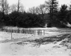 Courtemanche Property, Snow-Covered Field and Forest