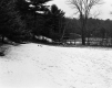 Courtemanche Property, Snow-Covered Field and Forest