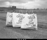 Green Up Day Bags