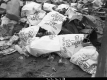 Dump for Green Up Day