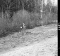 Cleaning Up near I-89