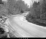 Dirt Road and Stream
